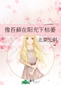 像苔藓在阳光下枯萎